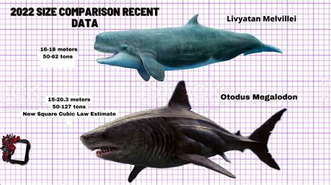 livyatan vs megalodon size.